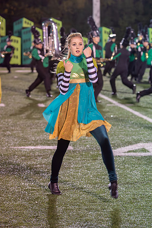 2014 Greendale Marching Band