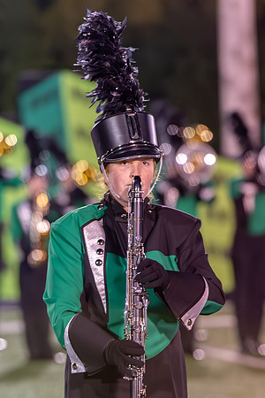 2014 Greendale Marching Band
