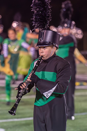 2014 Greendale Marching Band