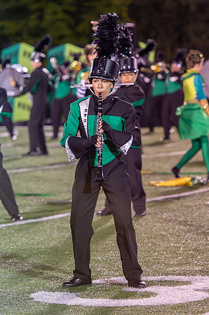 2014 Greendale Marching Band