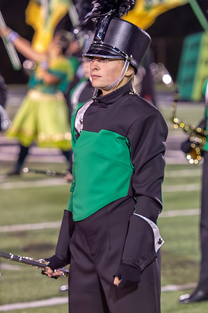2014 Greendale Marching Band