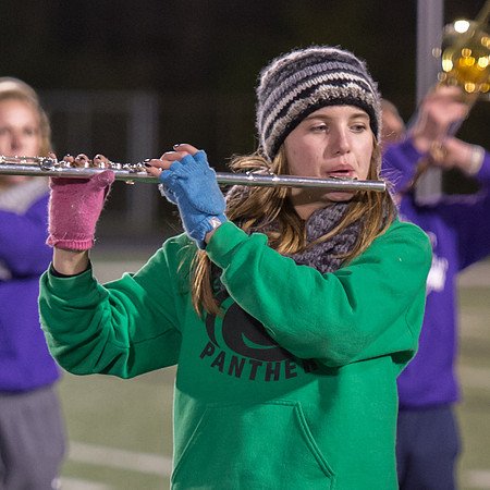 2014 Greendale Marching Band
