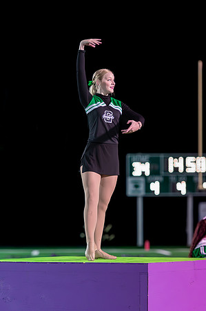 2015 Greendale Marching Band
