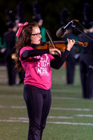 2015 Greendale Marching Band
