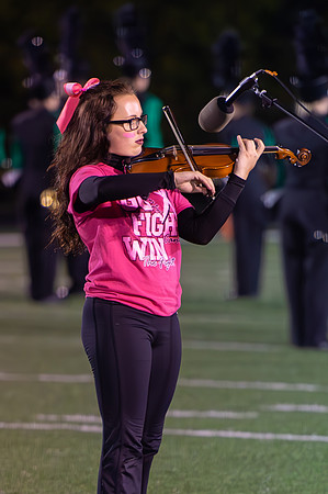 2015 Greendale Marching Band