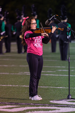 2015 Greendale Marching Band