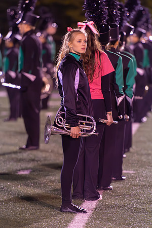 2015 Greendale Marching Band