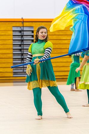 2015 Greendale winter guard