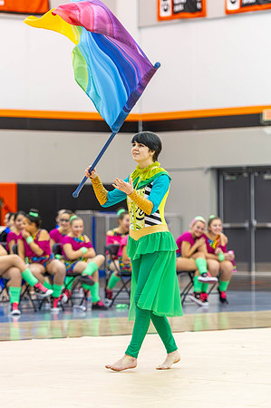 2015 Greendale winter guard