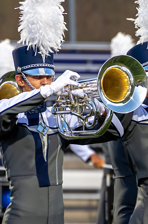 2012 Blue Stars