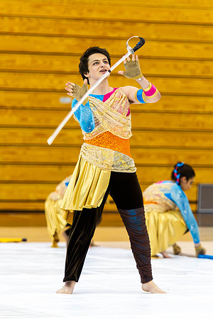 2015 Allegiance Winter Guard