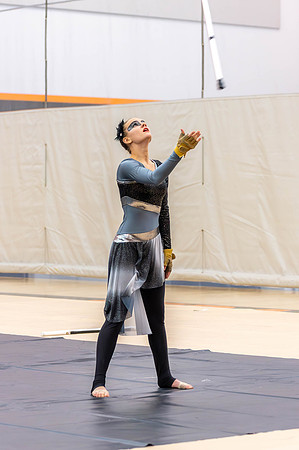2014 Blue Devil I Winter Guard