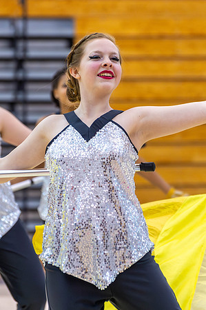 2014 Blue Devil II Winter Guard