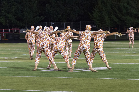 2013 Madison Scouts