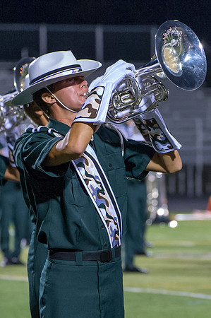 2013 Madison Scouts