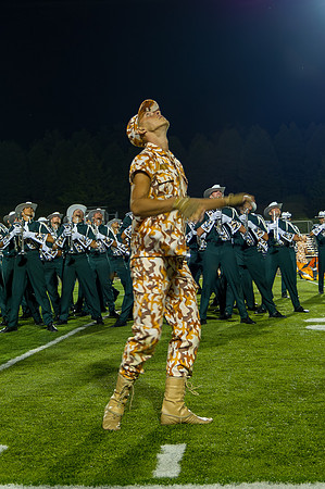2013 Madison Scouts