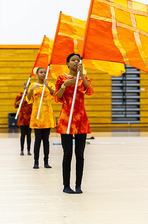2015 Crete-Monee Winter Guard