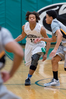 2015 Greendale Boys JV Basketball