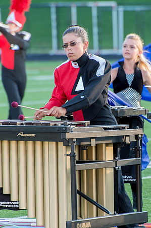 2014 Colt Cadets