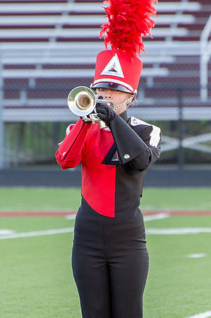 2014 Colt Cadets