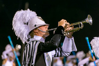 2014 Phantom Regiment