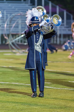 2015 Bluecoats