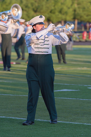 2015 Pioneer