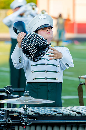 2015 Pioneer