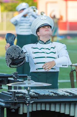 2015 Pioneer