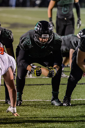 Greendale Varsity Football