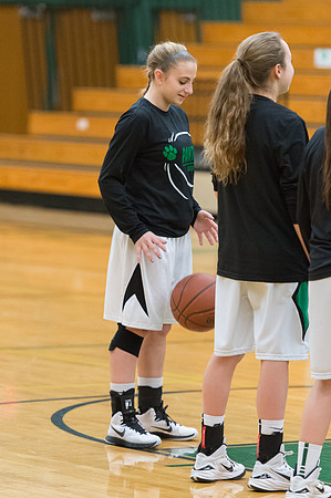 2015 Greendale Girls JV Basketball