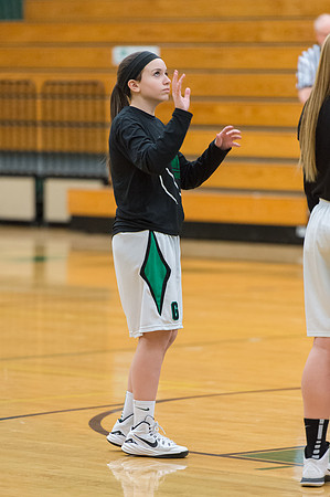 2015 Greendale Girls JV Basketball