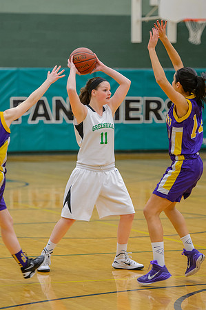 2015 Greendale Girls JV Basketball