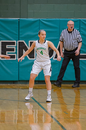 2015 Greendale Girls JV Basketball
