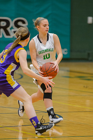 2015 Greendale Girls JV Basketball