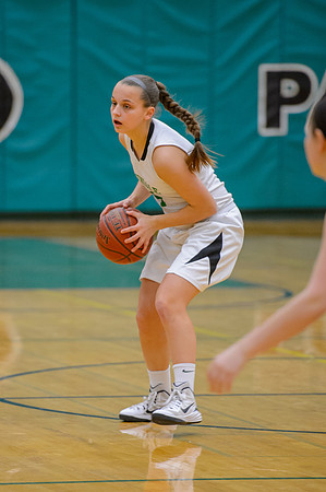2015 Greendale Girls JV Basketball