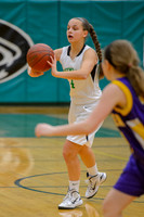 2015 Greendale Girls JV Basketball