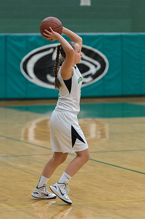 2015 Greendale Girls JV Basketball