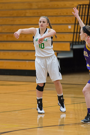2015 Greendale Girls JV Basketball