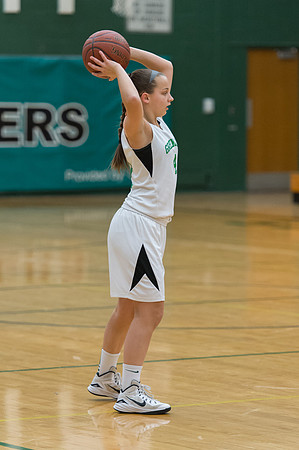2015 Greendale Girls JV Basketball