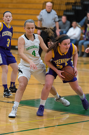 2015 Greendale Girls JV Basketball