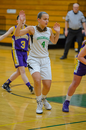 2015 Greendale Girls JV Basketball