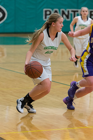 2015 Greendale Girls JV Basketball