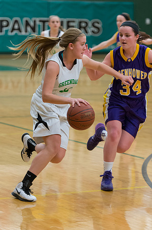 2015 Greendale Girls JV Basketball