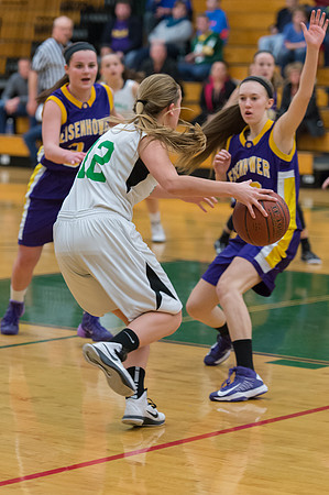 2015 Greendale Girls JV Basketball