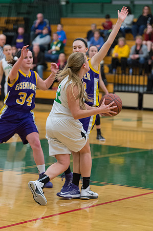 2015 Greendale Girls JV Basketball