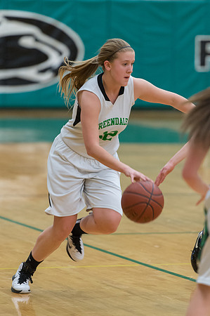 2015 Greendale Girls JV Basketball