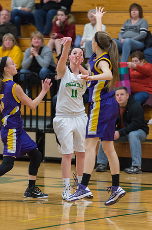 2015 Greendale Girls JV Basketball