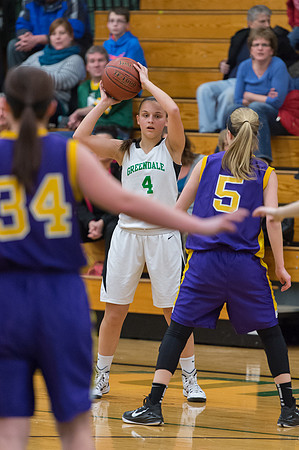 2015 Greendale Girls JV Basketball