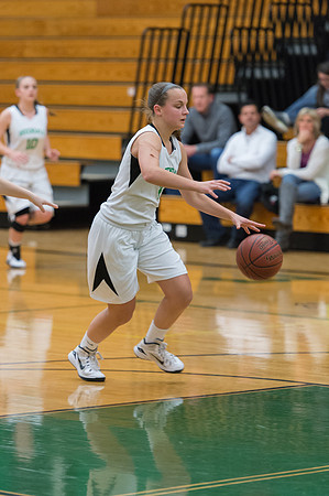 2015 Greendale Girls JV Basketball